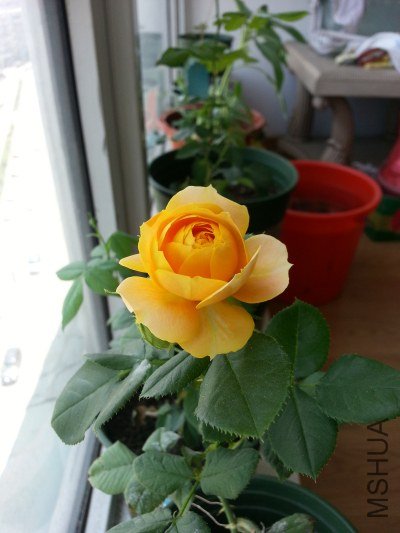 20130516_124816_�༭.jpg