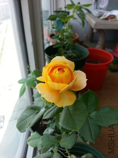 20130516_124817_�༭.jpg