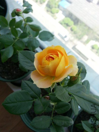 20130516_124830_�༭.jpg