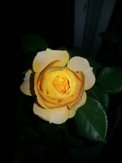 20130516_223733_�༭.jpg
