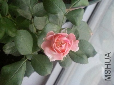20130521_190506.jpg