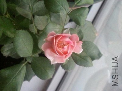 20130521_190508.jpg