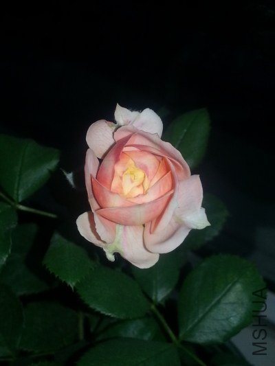 20130521_190519.jpg