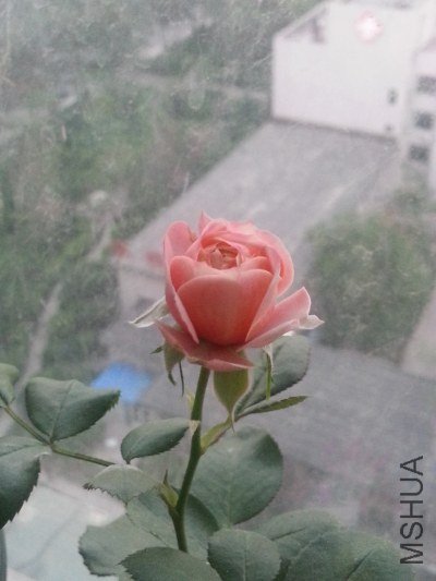 20130521_190557.jpg