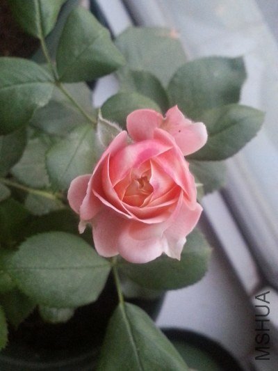20130521_190622.jpg