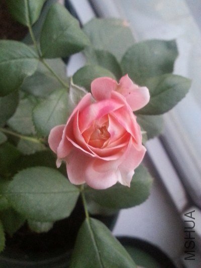 20130521_190623.jpg