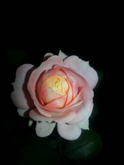 20130522_212856.jpg