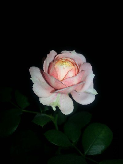 20130522_212929.jpg