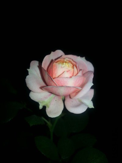 20130522_213002.jpg