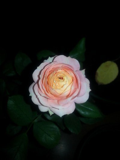 20130523_204153.jpg