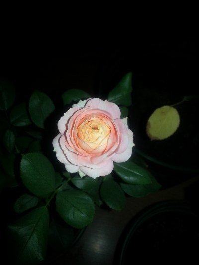 20130523_204200.jpg