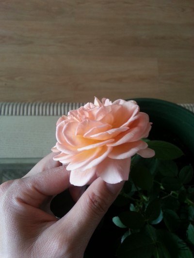 20130514_124807_�༭.jpg