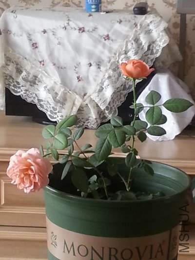 20130514_124858_�༭.jpg