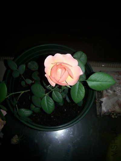 20130514_205410_�༭.jpg