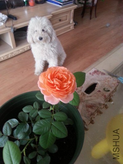 20130515_071514_�༭.jpg
