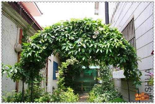 ��Ƭ 023_����.jpg