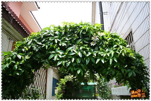 ��Ƭ 026_����.jpg