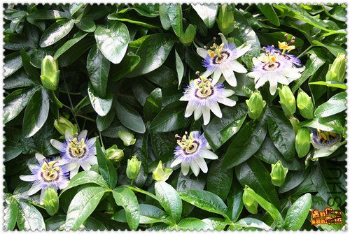 ��Ƭ 029_����.jpg