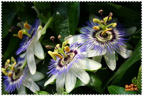 ��Ƭ 030_����.jpg