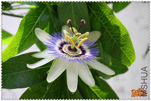 ��Ƭ 030a_����.jpg