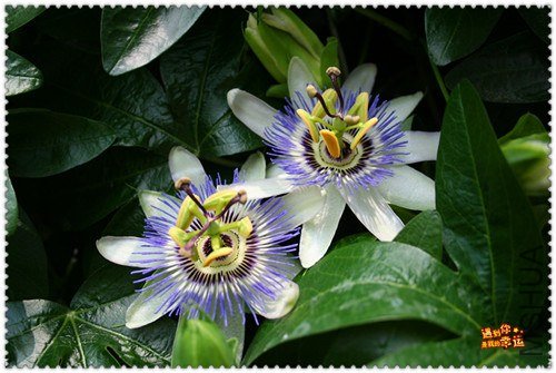 ��Ƭ 030b_����.jpg