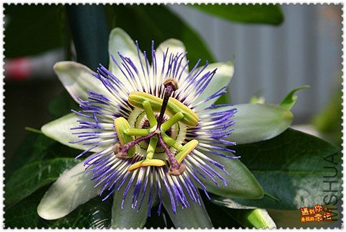 ��Ƭ 031_����.jpg