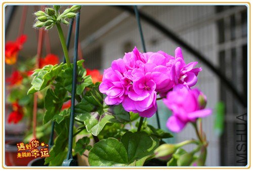 ��Ƭ 057_����.jpg