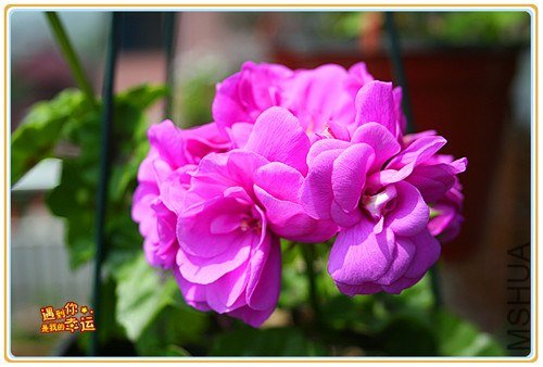 ��Ƭ 058_����.jpg