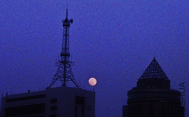 IMG-20130524-00327 (617x383).gif