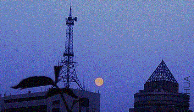 IMG-20130524-00329 (617x358).gif