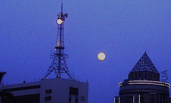 IMG-20130524-00332 (592x358).gif