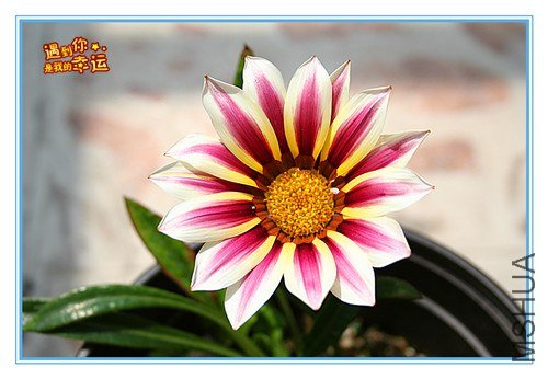 ��Ƭ 113_����.jpg