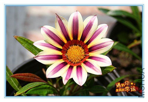 ��Ƭ 111_����.jpg