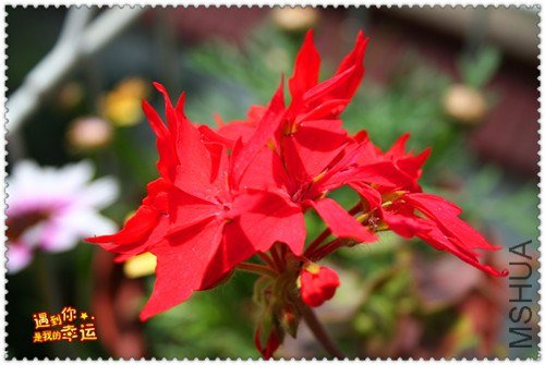 ��Ƭ 082_����.jpg