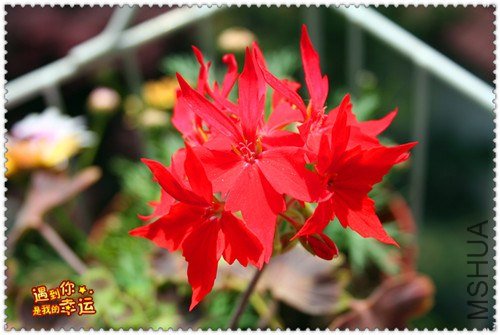 ��Ƭ 083_����.jpg