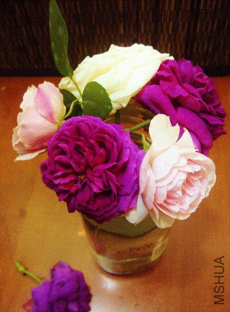 IMG-20130518-00318 (472x640).gif