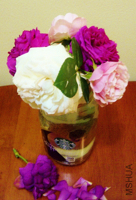 IMG-20130518-00323 (436x640).gif