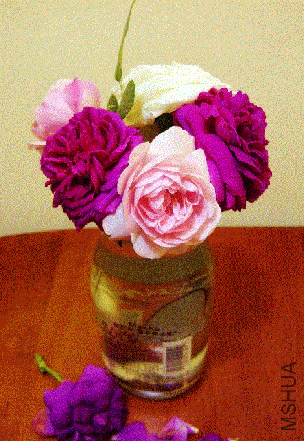 IMG-20130518-00321 (442x640).gif