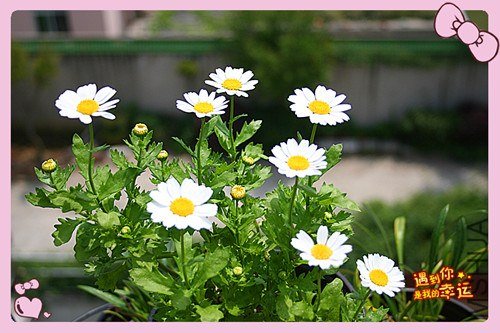 ��Ƭ 087_����.jpg