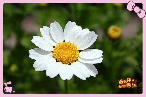 ��Ƭ 089_����.jpg