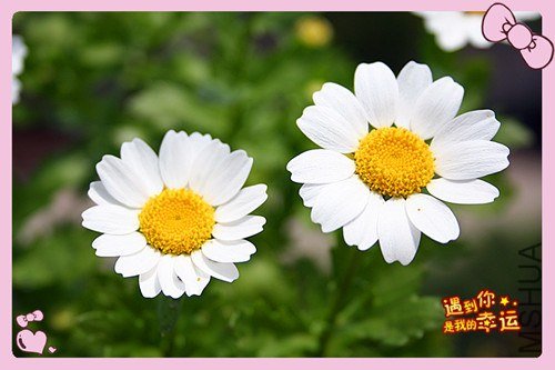 ��Ƭ 091_����.jpg