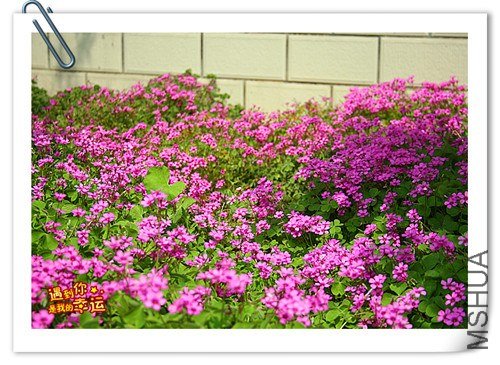 ��Ƭ 115_����.jpg