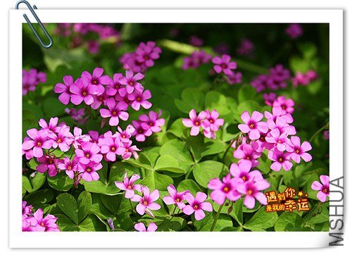 ��Ƭ 116_����.jpg