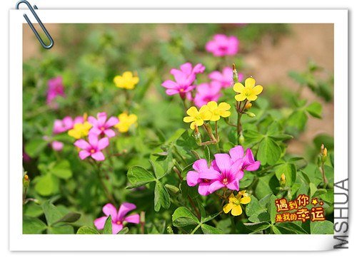 ��Ƭ 119_����.jpg