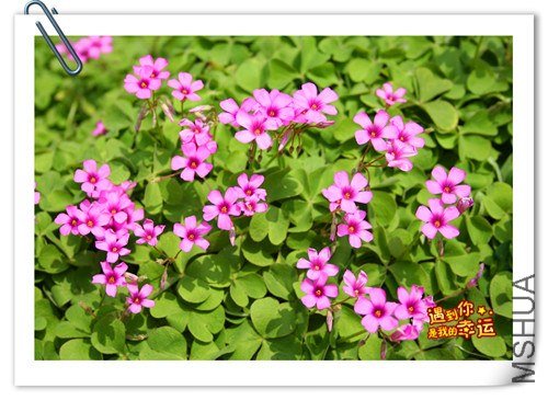 ��Ƭ 120_����.jpg