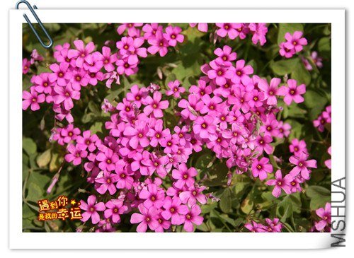 ��Ƭ 123_����.jpg