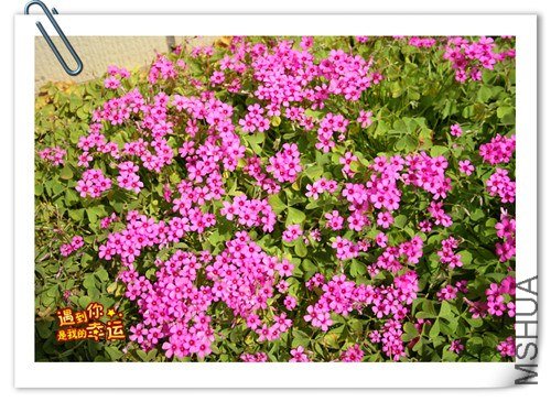 ��Ƭ 124_����.jpg