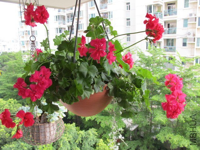 ���� 019.JPG