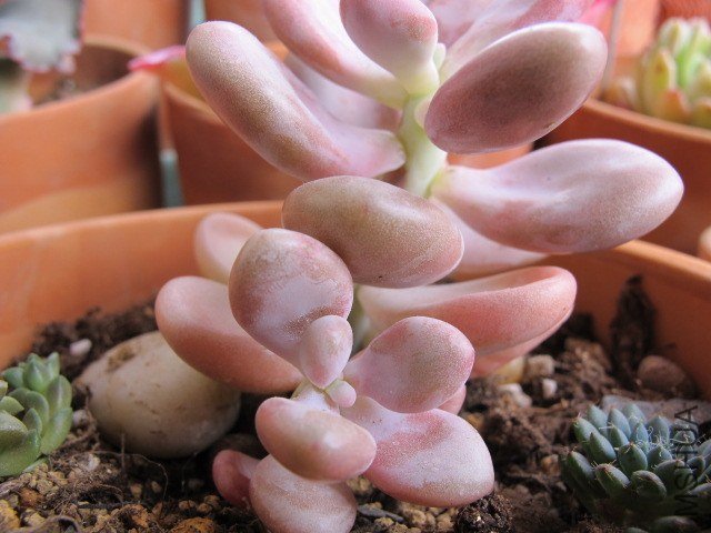 ���� 026.JPG