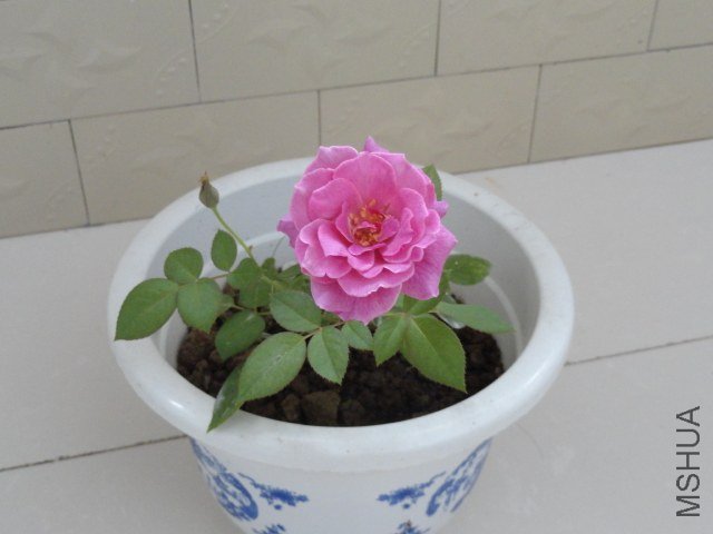 DSC07726.JPG